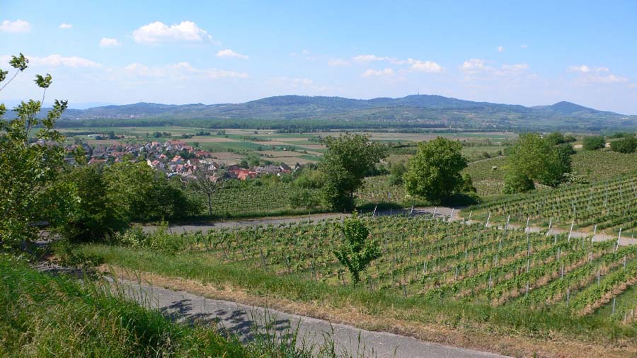hausgarten